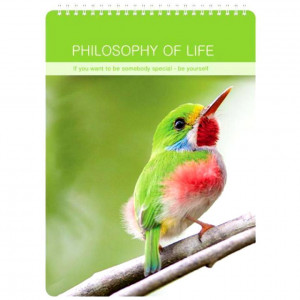 518813 Блокнот "", 100 листов, в клетку, 10,2 х 14,2 см Be Smart Birds