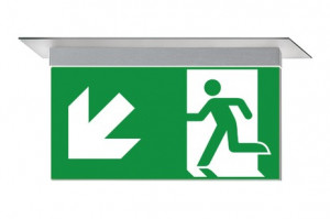 DST-3950 Ikus 2211-m Daisalux Светильники и спец. Серебристо-Серый