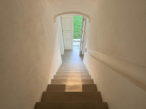 Пол / покрытие из цементных материалов