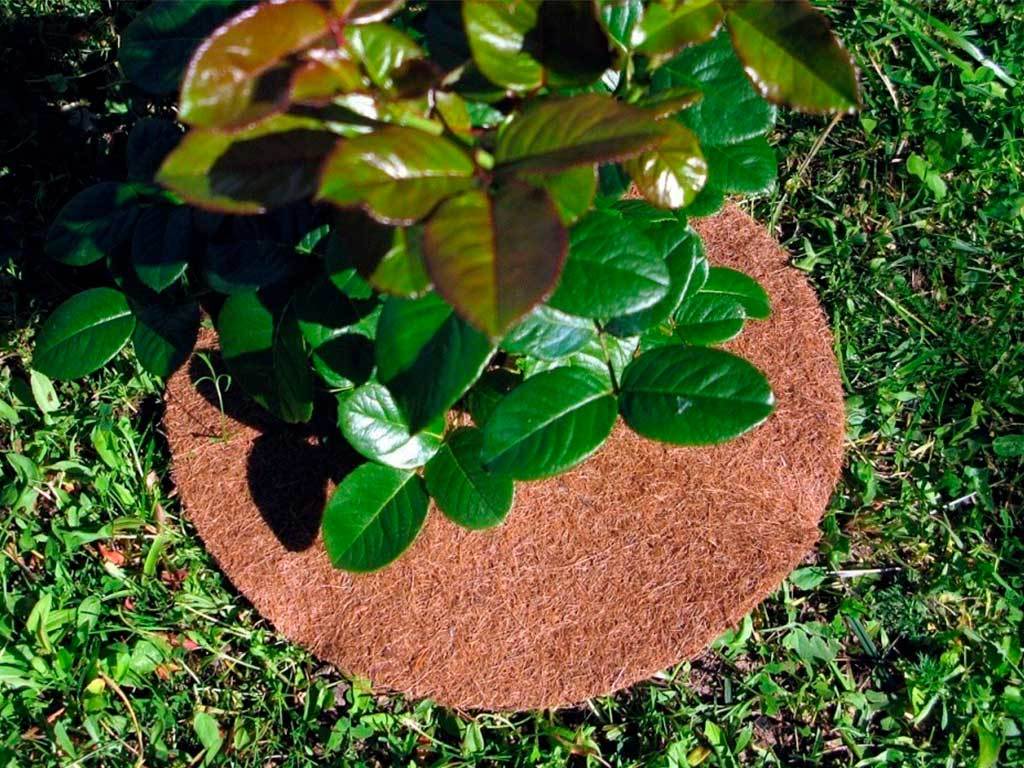 Круг приствольный Мульчаграм 30 см, комплект - 5шт ГеоПластБорд GPBST-234 - Вид №9