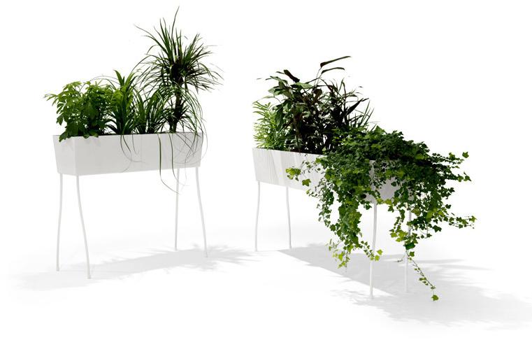 Offecct чашка O2asis sun-id-1373477 - Вид №1