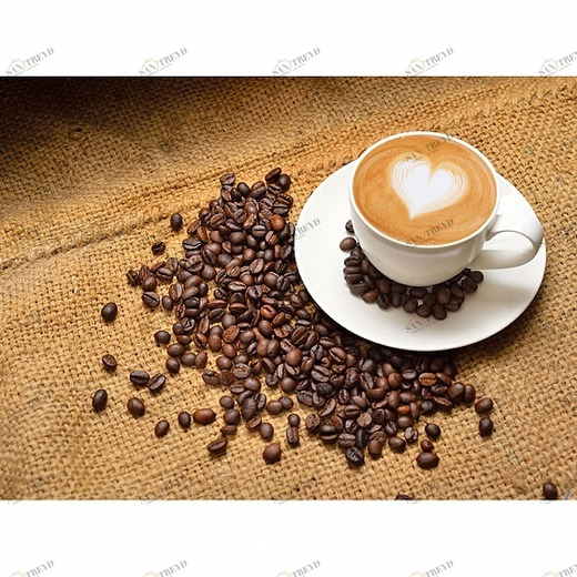 A2-062 Фотообои DIVINO Collection A 1.47х2 м A2062