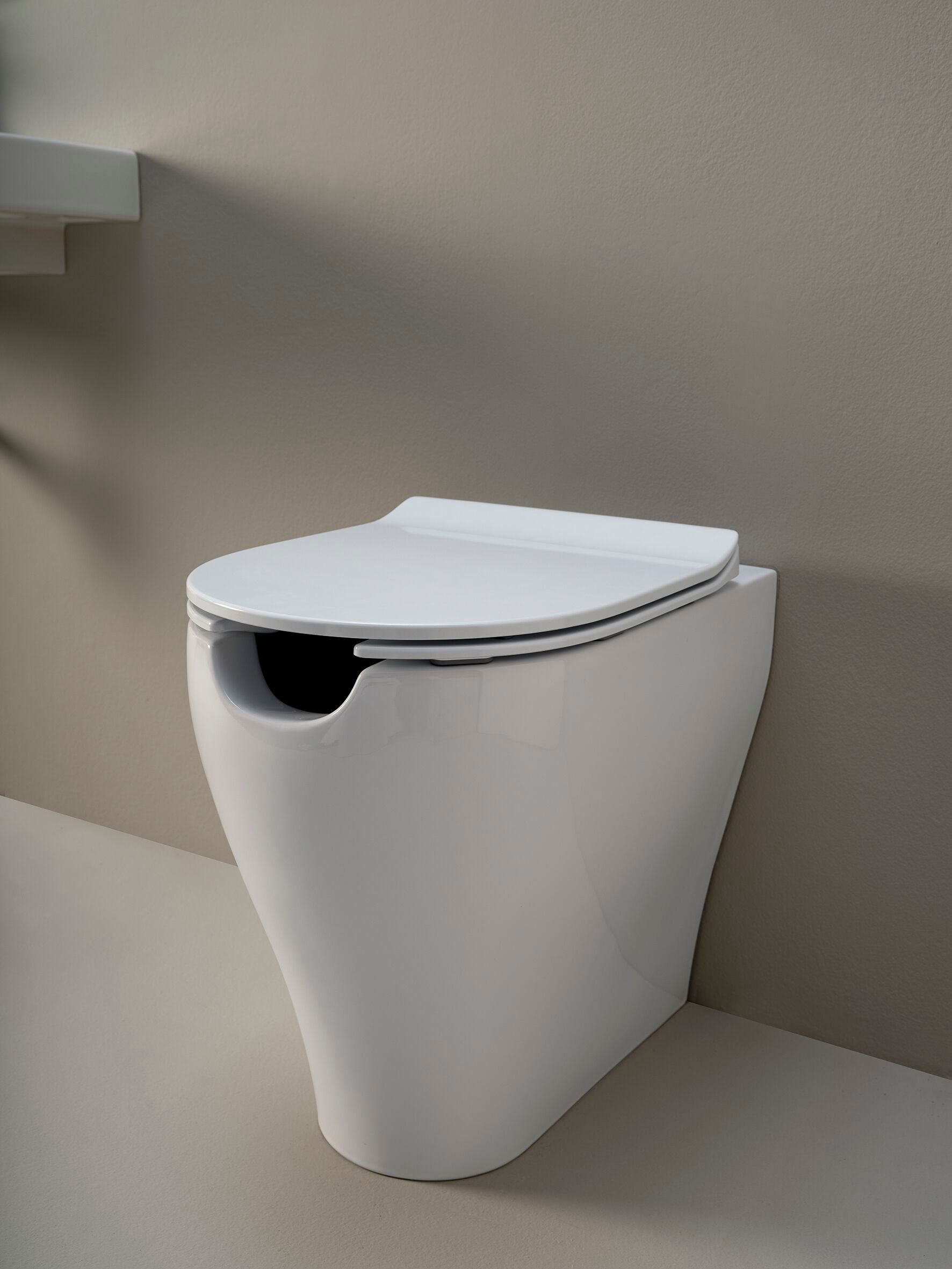 Термореактивное сиденье для унитаза Ceramica Flaminia APP SOLUTION ARCH-00140937 - Вид №4