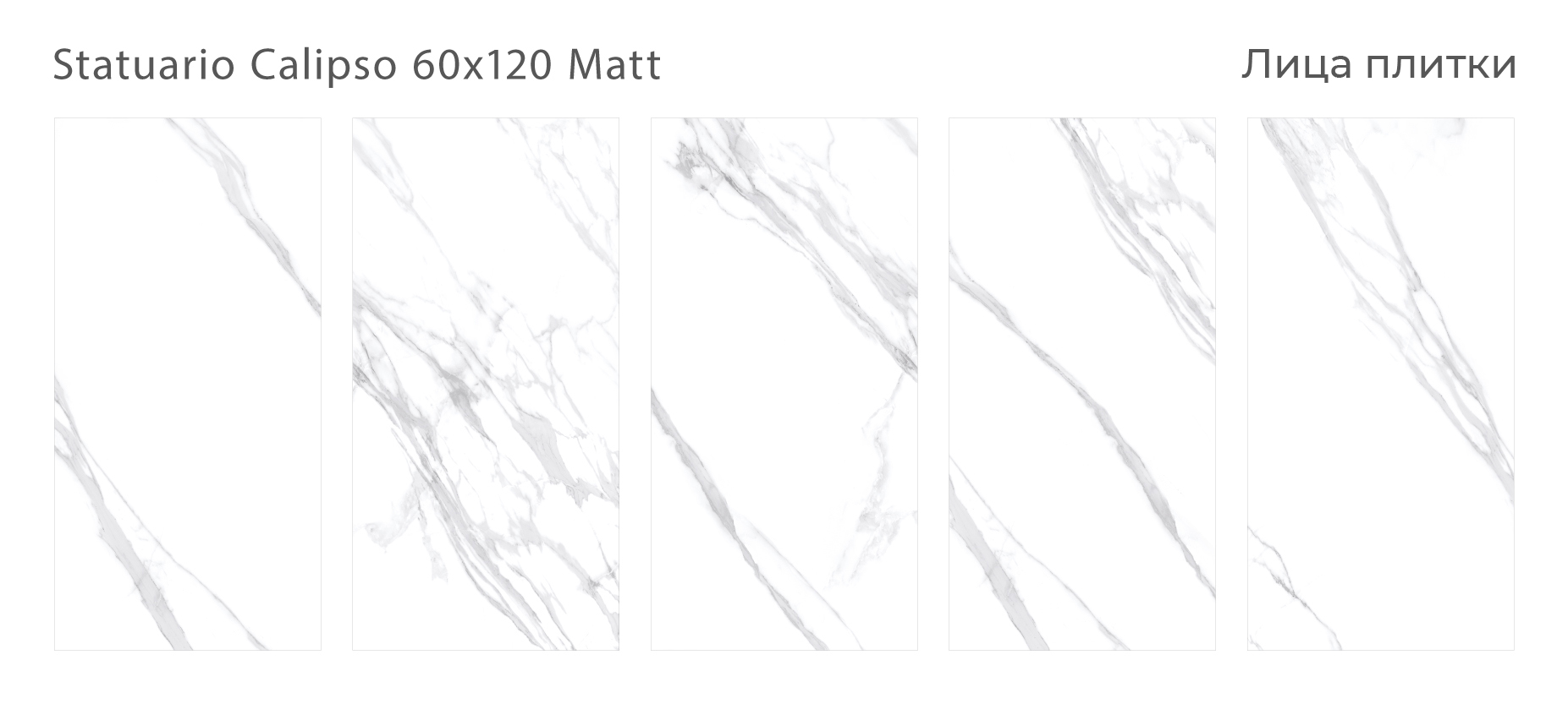 Шелковое великолепие: керамогранит Staro Silk STP-ST579 INCOLOR Silk 120 - Вид №2