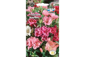 18407953 Семена Годеция Мария 00000014825 СеДек