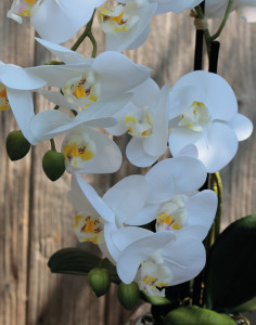 2772 778 a3 Пластиковая орхидея Phalaenopsis, 2-х кратная, горшечная, 45 см, real touch, бежево-белая H-andreas