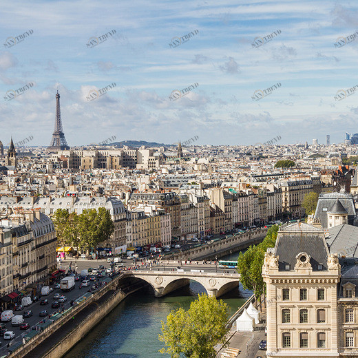 C1-057 Фотообои DIVINO Collection C 2.7х3 м C1057