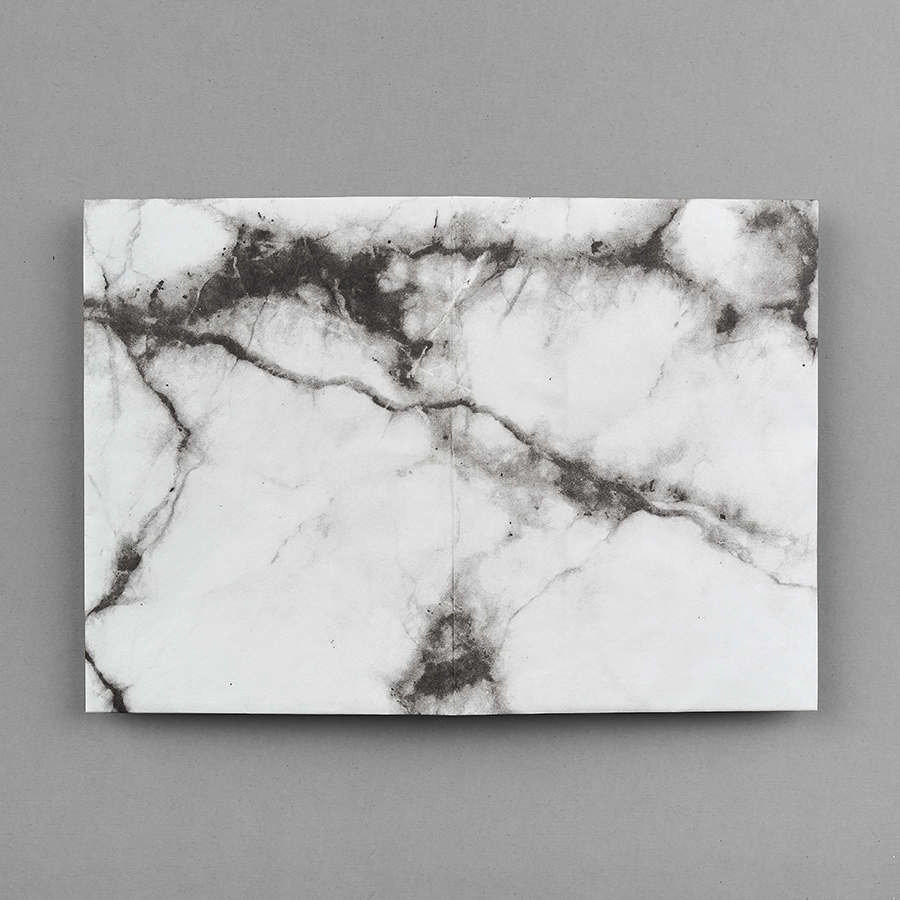 NC-124 Обложка на паспорт - new moonlight; сделан из tyvek® New wallet  - Вид №1