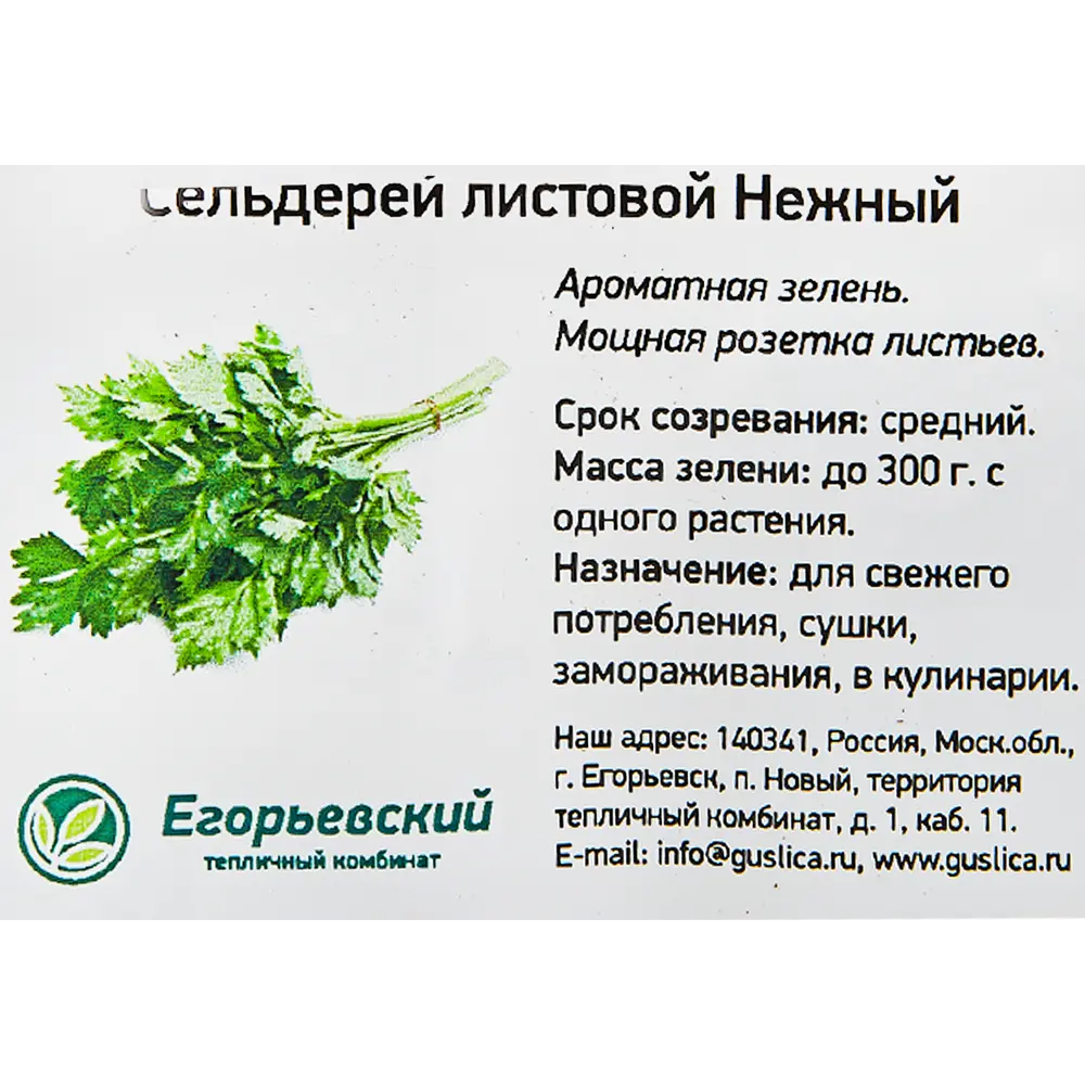 Сельдерей в кассете, 6 шт. 82585488 STLM-2040712 Santreyd  - Вид №1