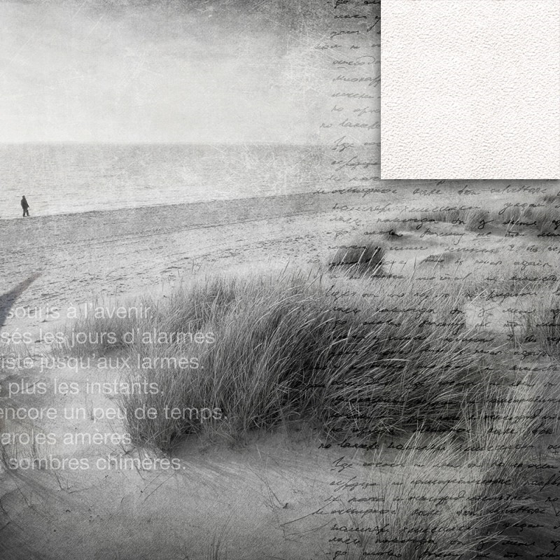 WP02006A Обои декоративные Adriani e Rossi  - Вид №1