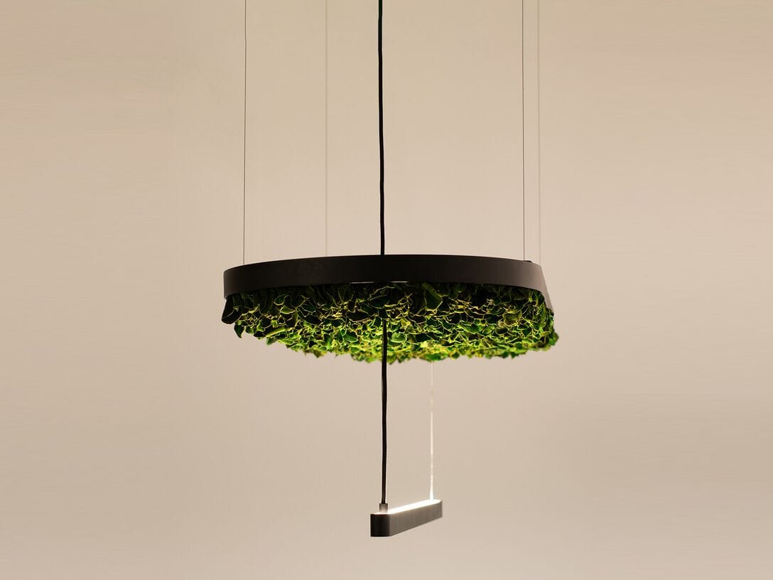 Акустическая подвесная панель в стабилизированных растениях GREENMOOD HOVERLIGHT ARCH-00083178 - Вид №1