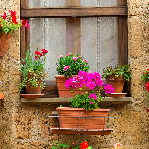 A1-091 Фотообои DIVINO Collection A 2.7х1 м A1091