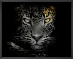 Печать фотографий на бумаге