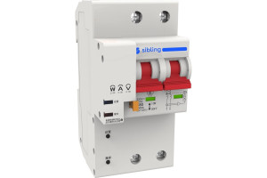 18818688 Умный автоматический двухполюсной выключатель Powerswitch-A20 2 00-00012413 SIBLING