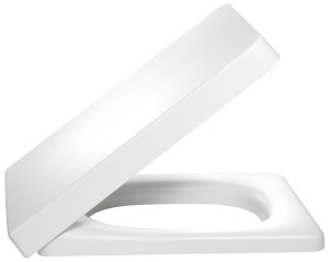 72228-00 Термореактивное сиденье для унитаза с медленным закрыванием JACOB DELAFON RÊVE