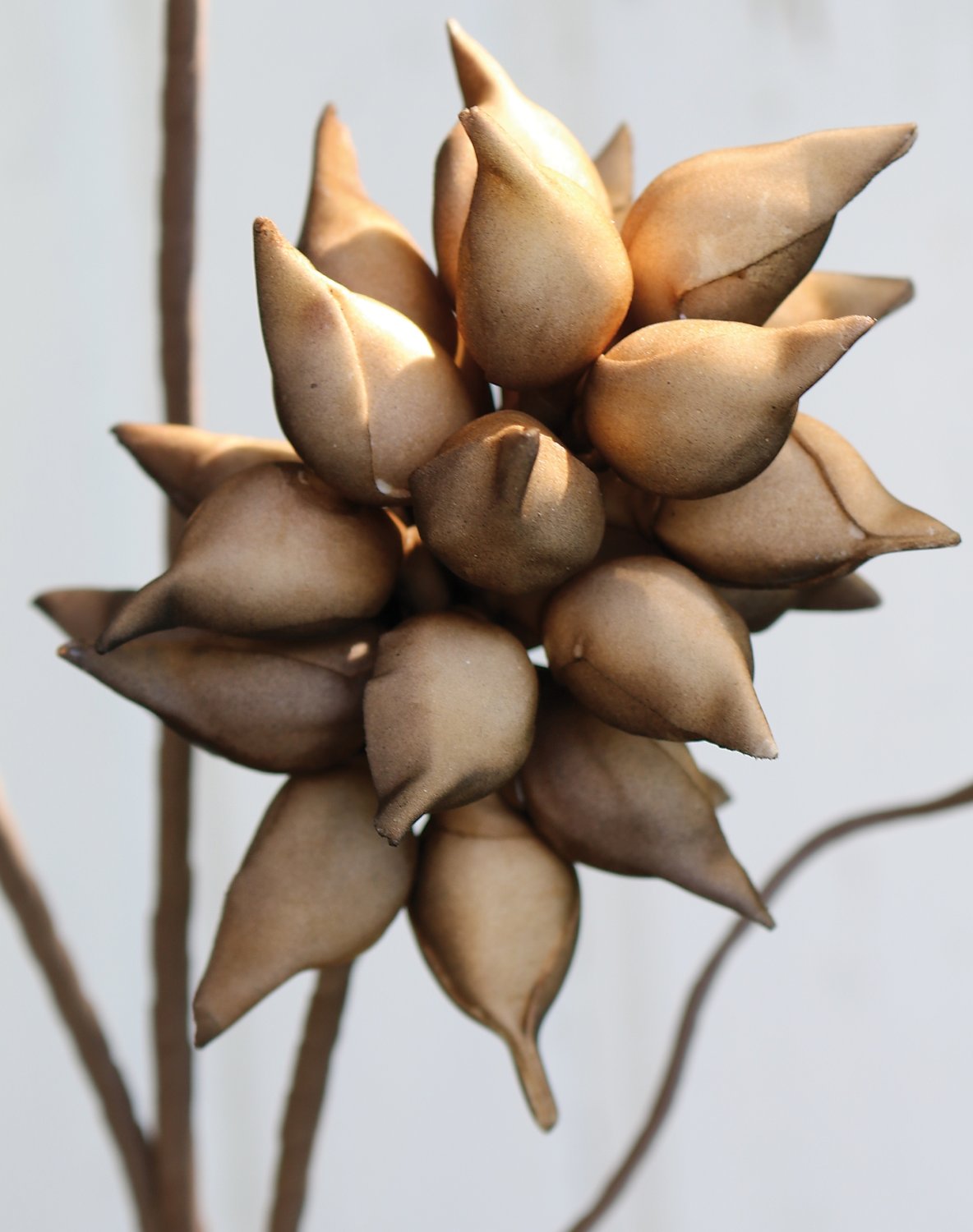 7954 666 a3 Шелковый мягкий цветок 'paulownia', 95 см, коричневый H-andreas  - Вид №1