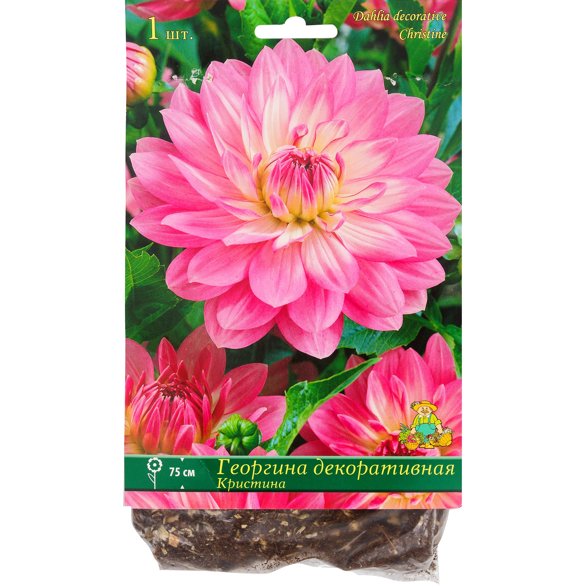 82118670 Георгины декоративные «Кристина», 1 шт Santreyd 