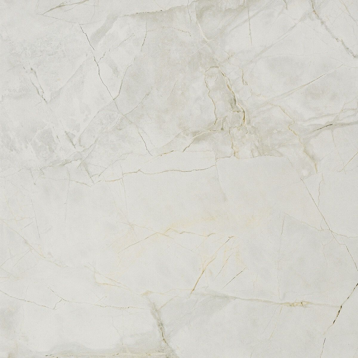 Пол / керамогранит с мраморным эффектом RECER Griseo ARCH-00071907 - Вид №5