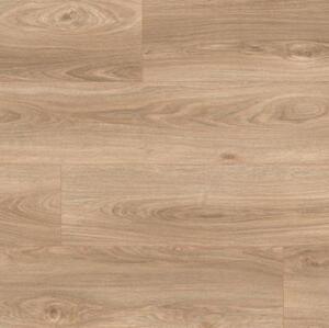 Ламинат Kaindl 37245 AV Дуб Робур