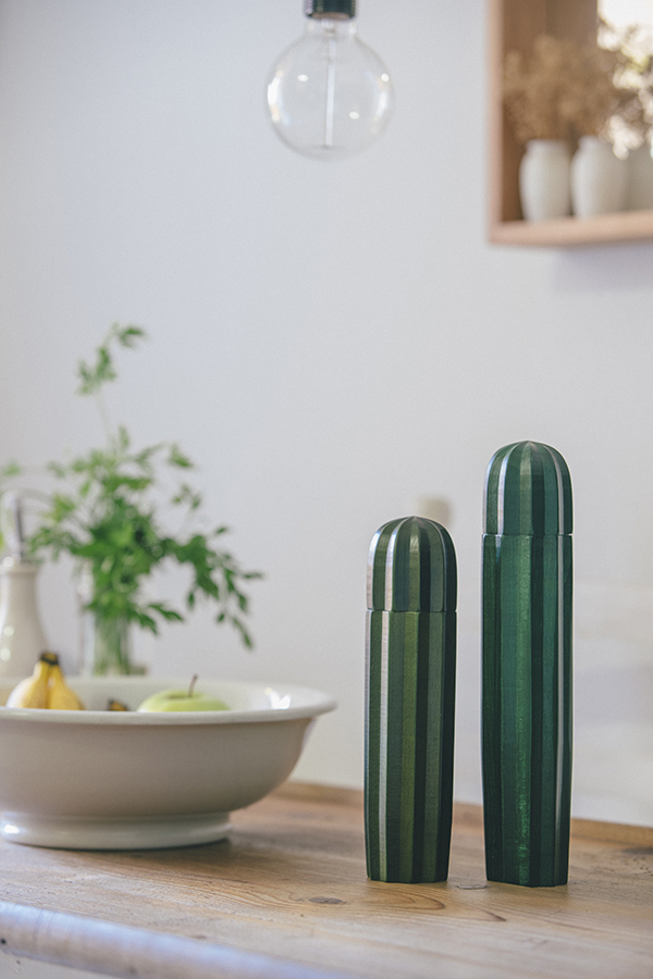 Мельницы деревянные для соли и перца Cacti Doiy DYCACTIGR - Вид №2