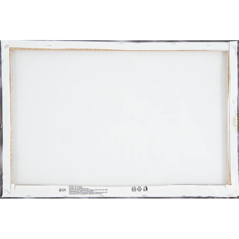 Картина на холсте Постер-лайн Папоротник 40x60 см STLM-2028379 - Вид №2