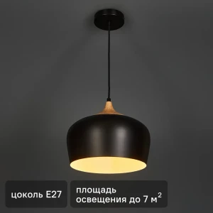 Светильник подвесной KREAFORTA Omolon цвет черный