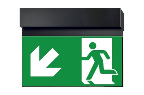 DST-1865 Ikus 2211-t Daisalux Светильники сигнальные Черный 