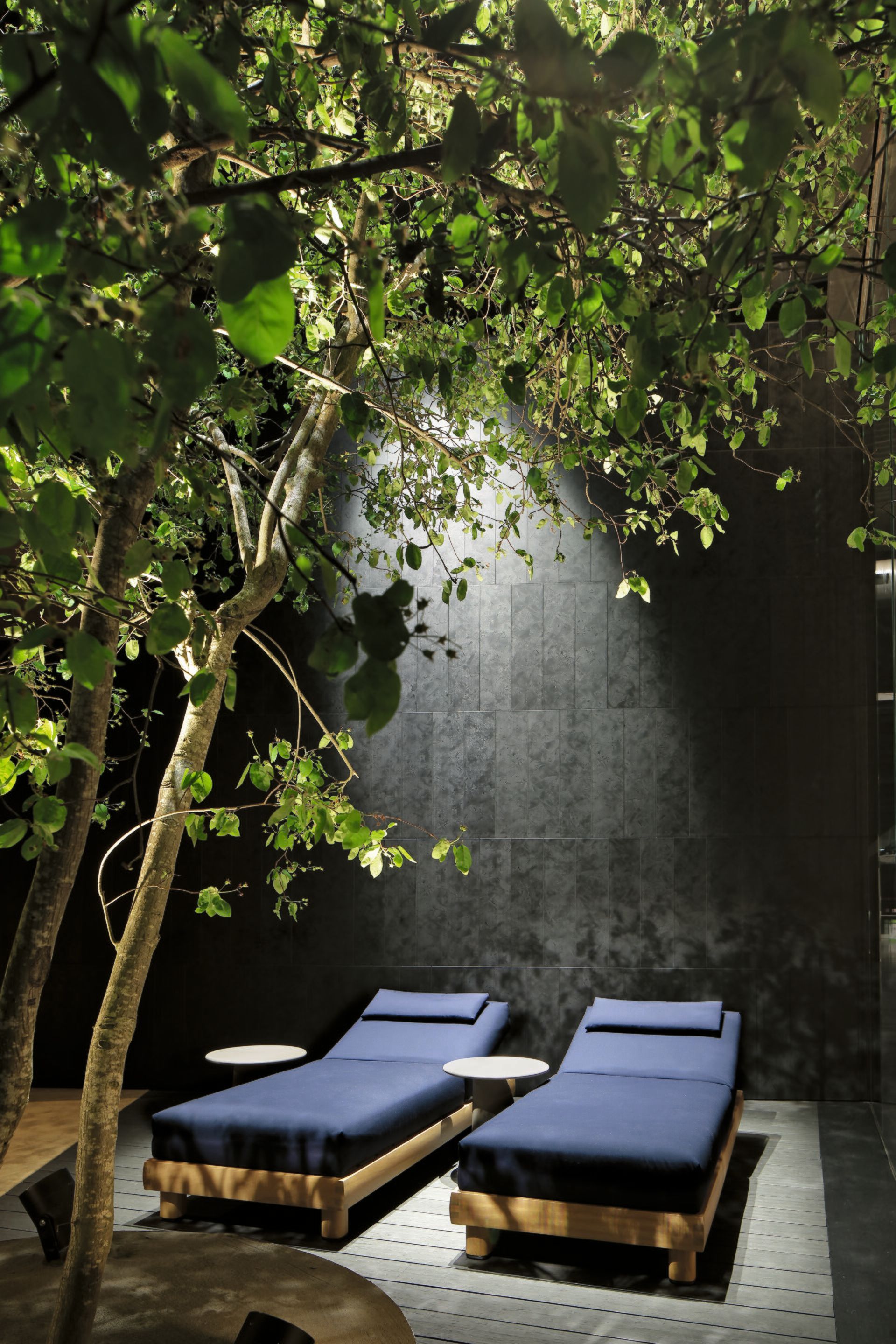 Шезлонг с деревянным основанием Poliform Ketch ARCH-00030964 - Вид №1