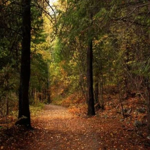 WP02212 Фотообои Verol Фотообои decoline 1х1 м