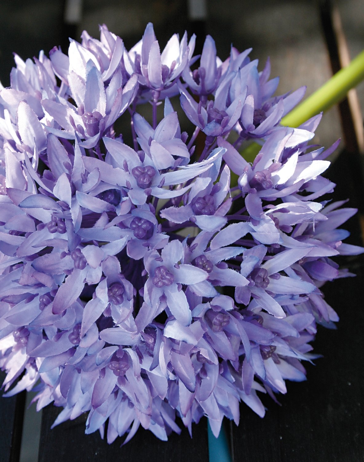 Искусственный лук, 71 см, светло-фиолетовый-темно-фиолетовый Santreyd 9807 227 a2 - Вид №3