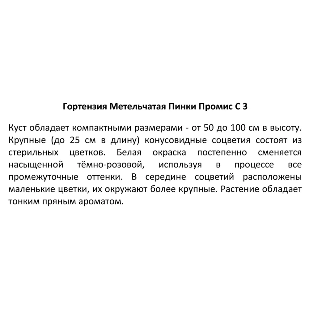 Гортензия метельчатая Пинки Промис от Santreyd - розовое цветение с лета до осени 89369804 STLM-0957659 - Вид №2
