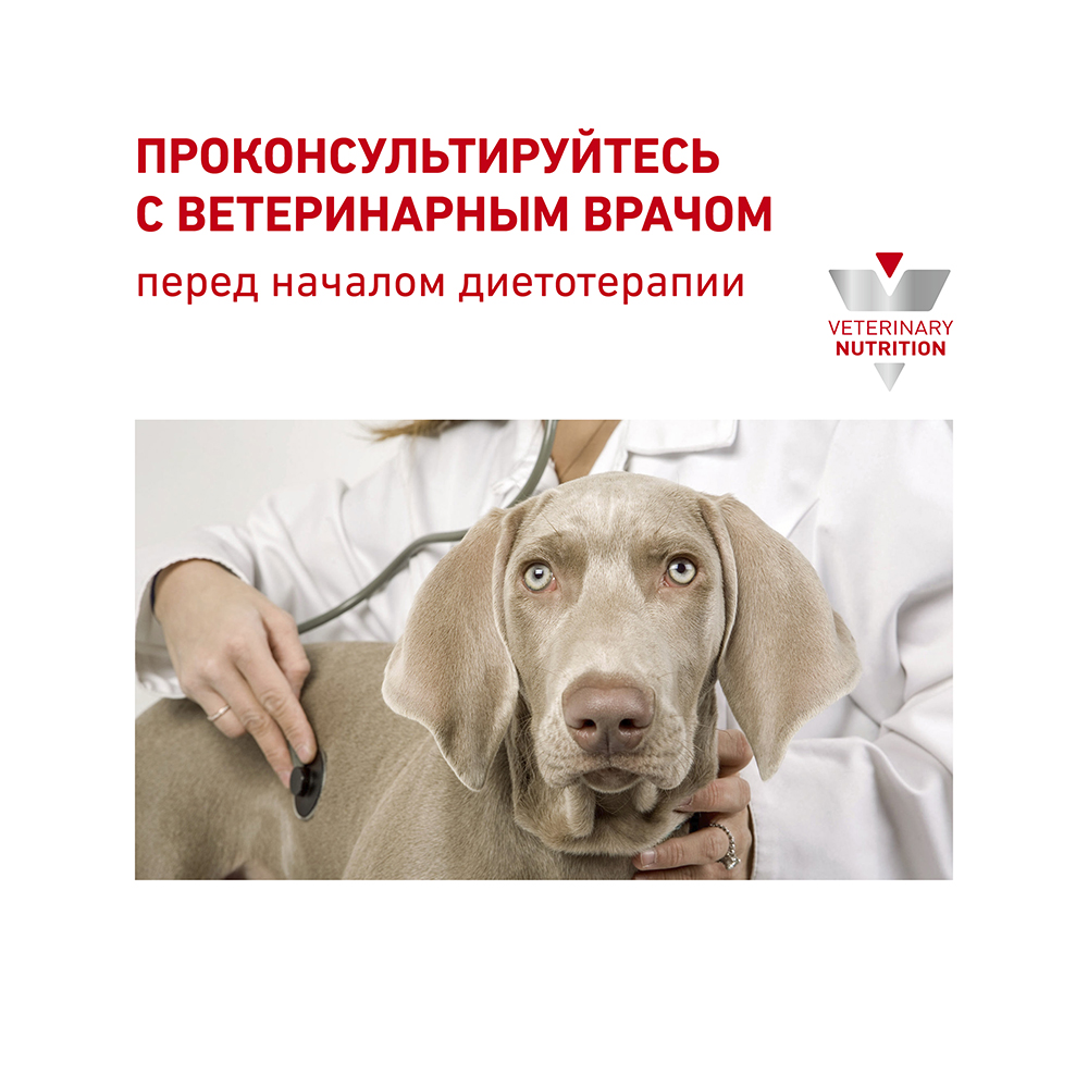 ПР0056152 Корм для собак Vet Diet Renal для мелких пород с хронической болезнью почек сух. 3,5кг ROYAL CANIN  - Вид №7