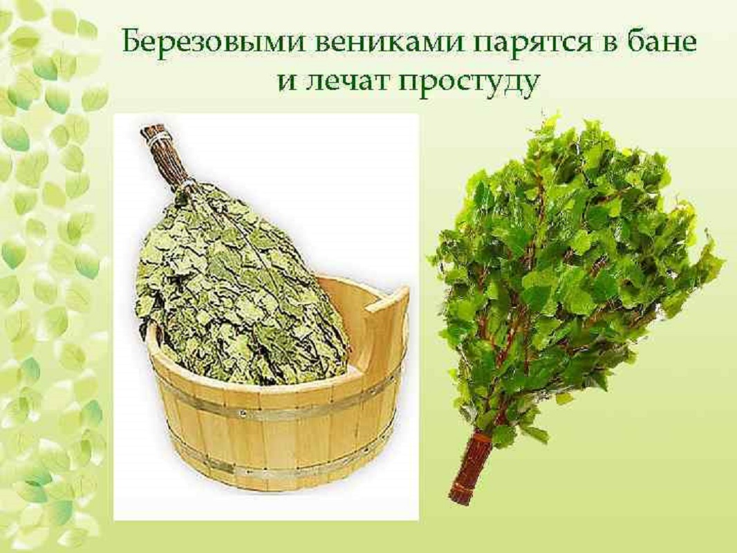 91024289 Берёзовые веники для бани набор из 2 шт STLM-0445746 GORINY