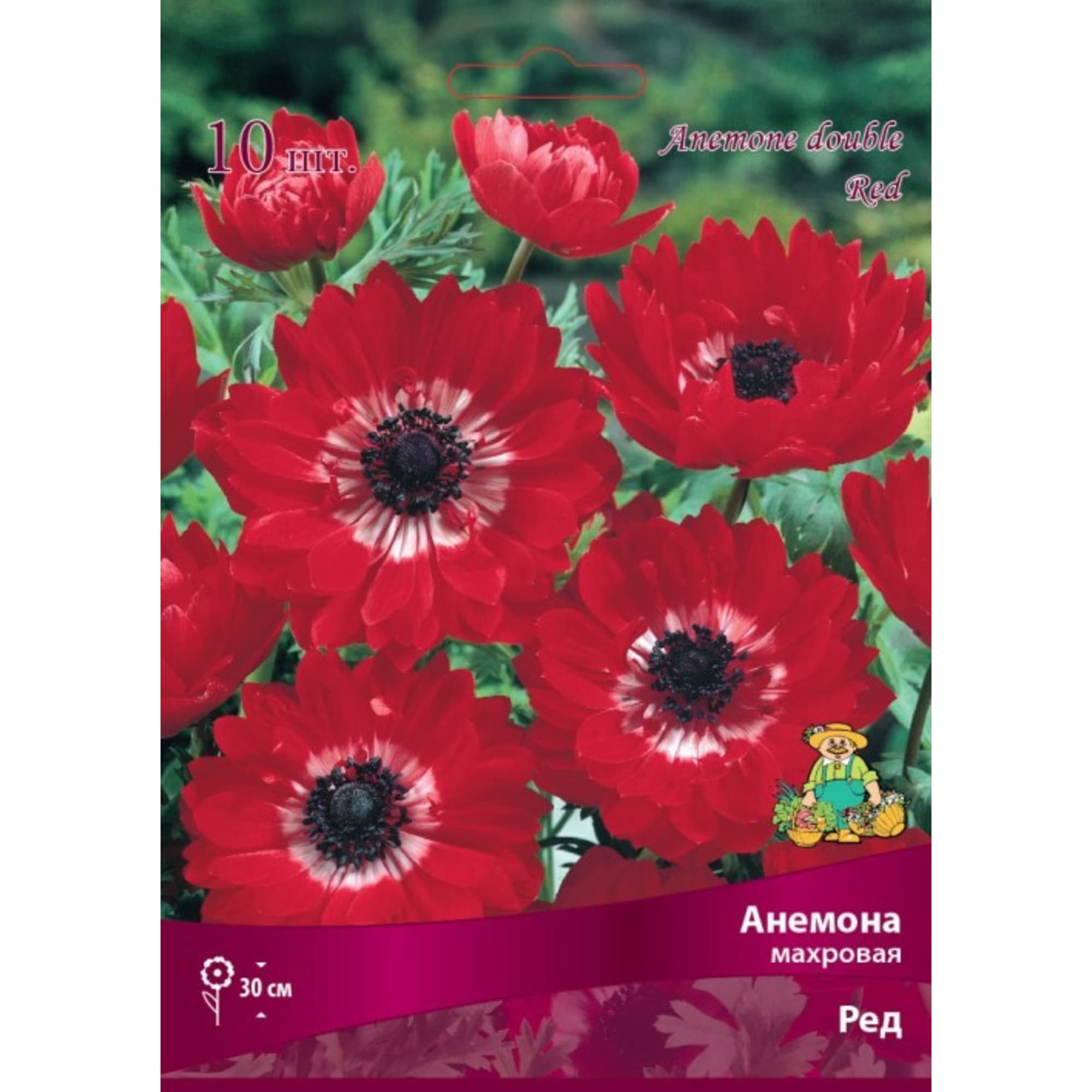 83593863 Анемона махровая Ред луковица 5/6 Santreyd 