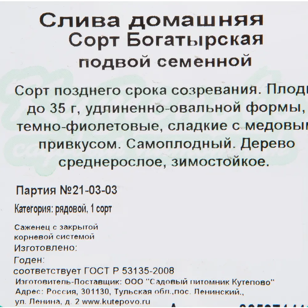 Слива «Богатырская» C7 высота 180 см 82597141 STLM-2069048 Santreyd  - Вид №1