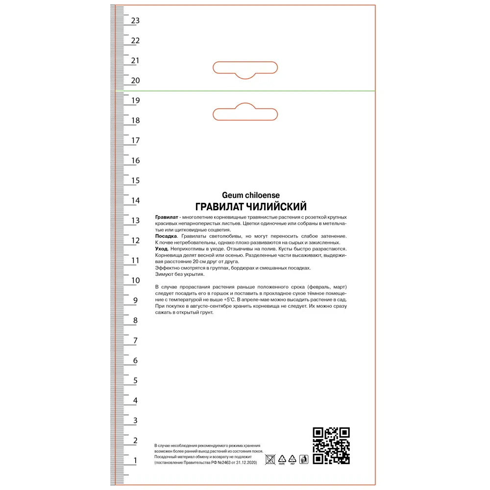 Гравилат чилийский Леди Штратэдэн ПОИСК STLM-2146916 - Вид №1