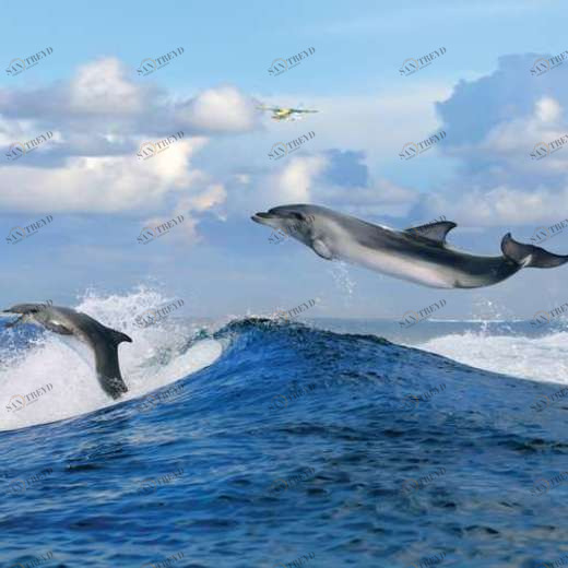 WP02161 Фотообои Verol Фотообои decoline 1х1 м