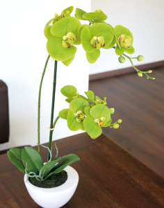 2606 883 a3 Пластиковая орхидея Phalaenopsis, горшечная, 55 см, real touch soft, зеленая H-andreas