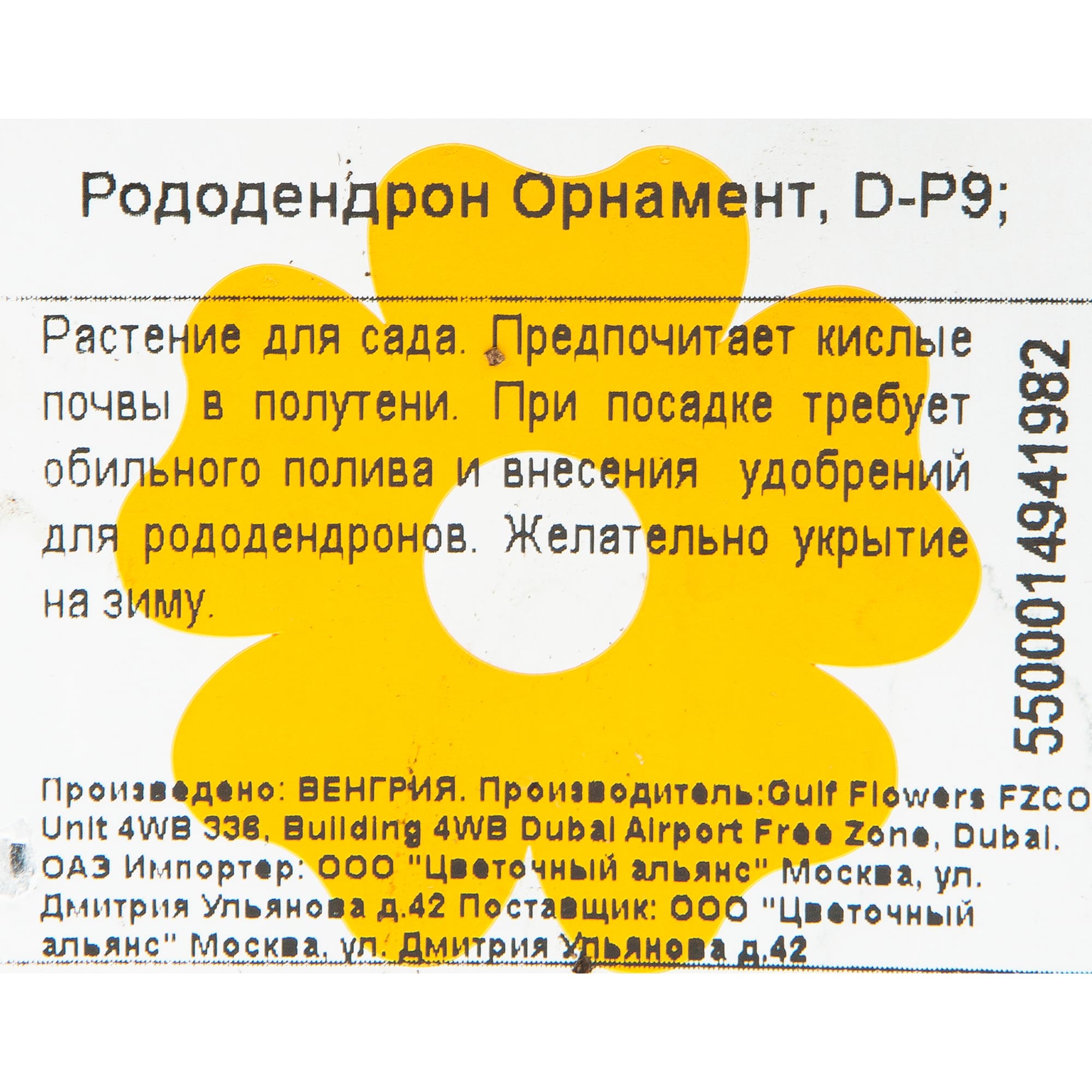 82601840 Рододендрон гибридный «Орнамент» 9x20 см Santreyd  - Вид №1