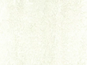 ALPI Покрытие древесины Alpilignum 10.09