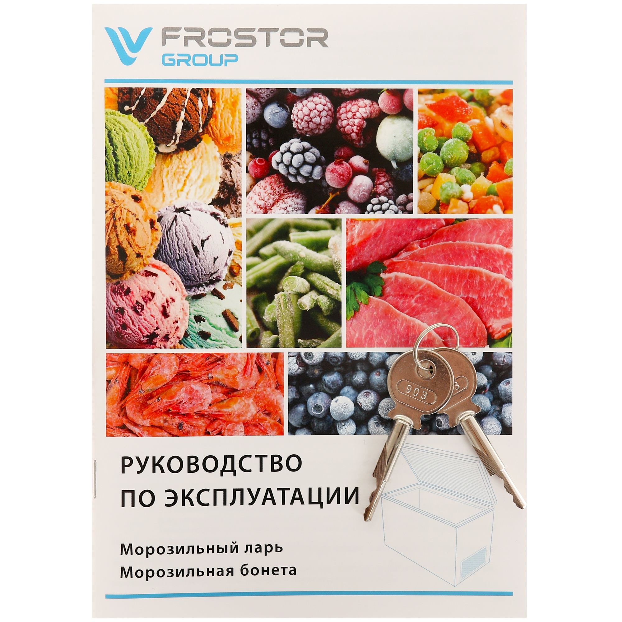 1229572 Морозильный ларь Frostor Gellar FG 250 C белый, серый STDN-0035375 - Вид №7