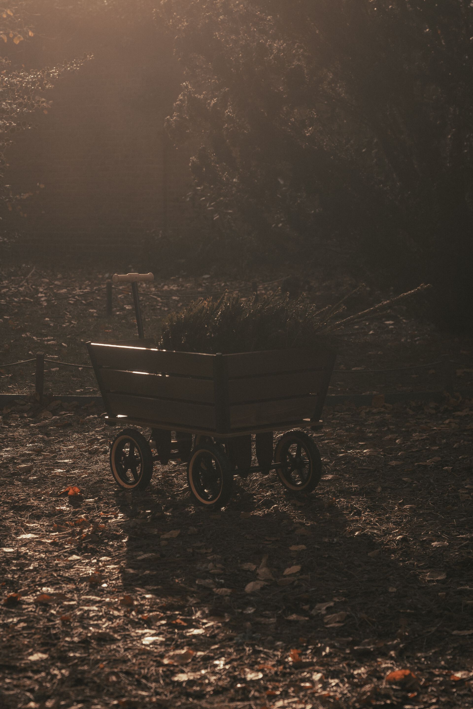 Садовая тележка TRADEWINDS THE PLANK WAGON ARCH-00043245 - Вид №12