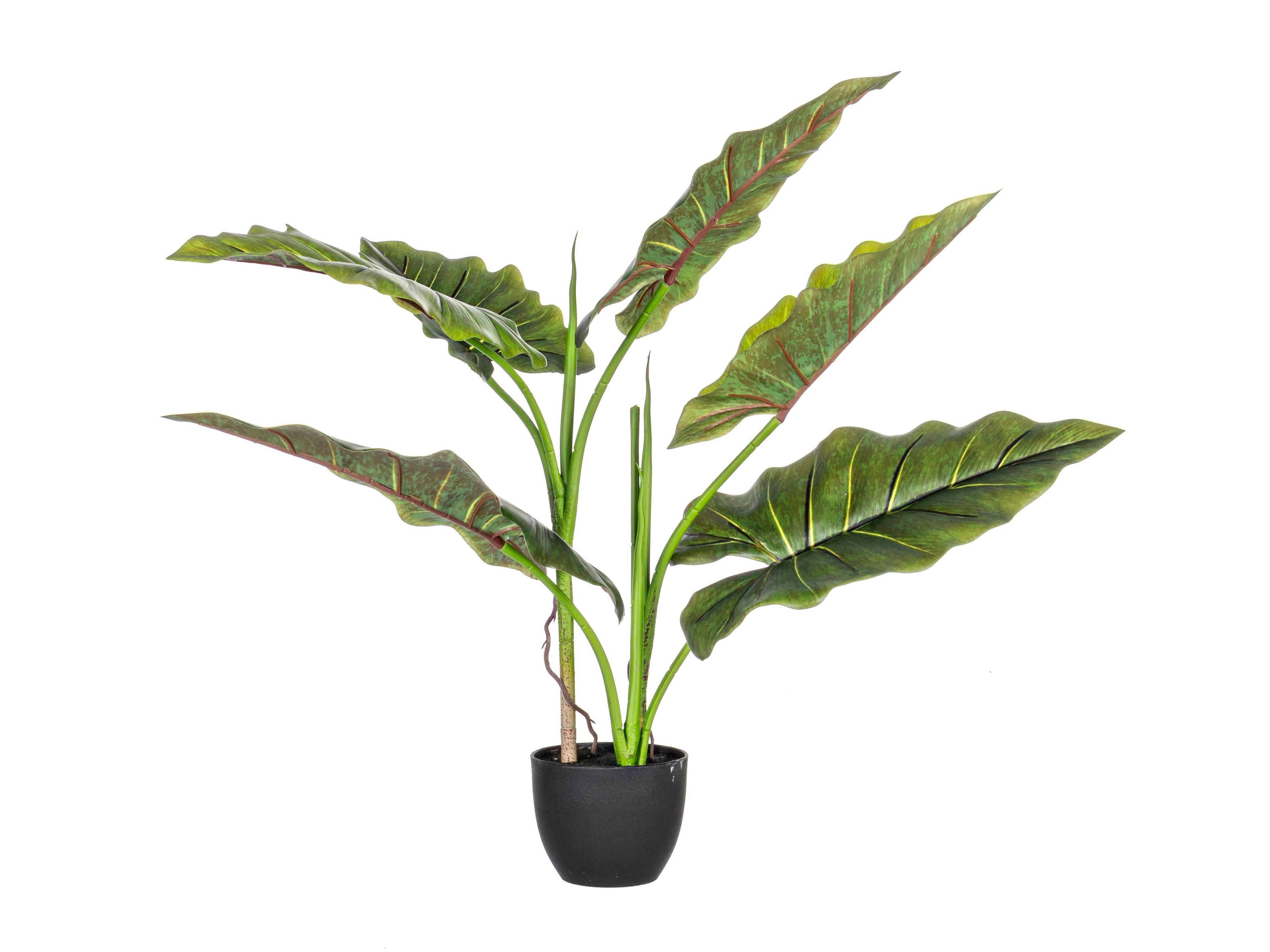 Искусственное растение BIZZOTTO DIEFFENBACHIA ARCH-00102313