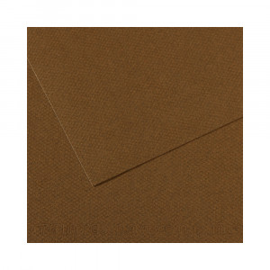 200331484 Бумага для пастели Mi-Teintes 160 г/м2 50 х 65 см лист №501 каштановый Canson