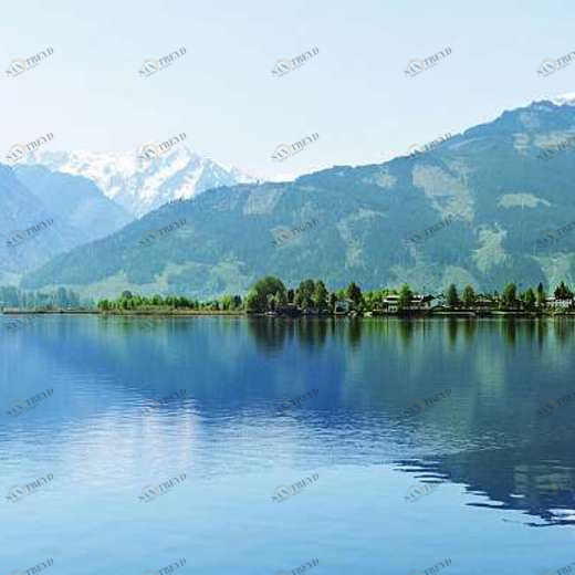 L-105 Фотообои DIVINO L&P 2х1 м L105