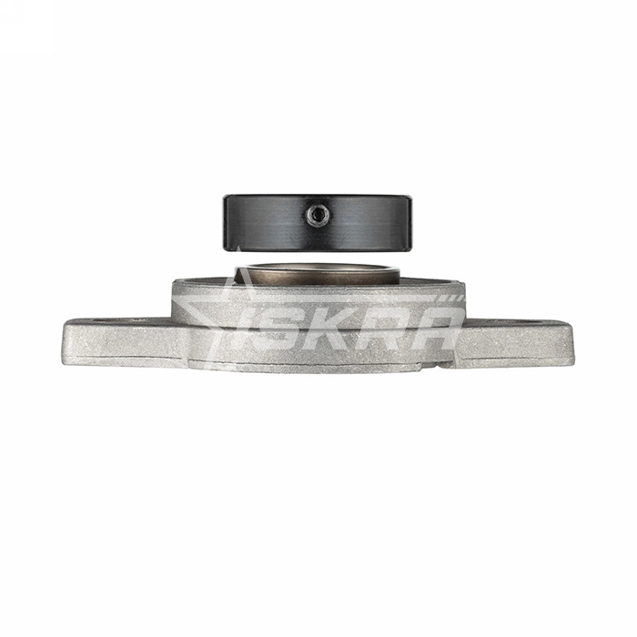 IS2000 Подшипниковый узел UFL006 ISKRA  - Вид №4