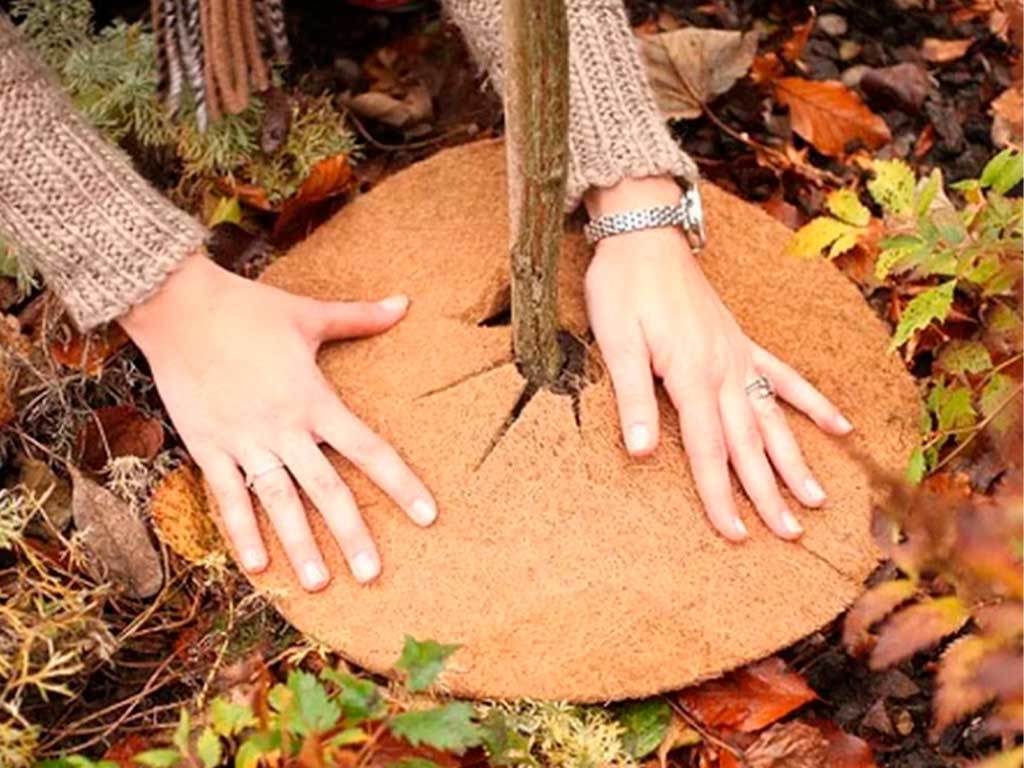 Круг приствольный Мульчаграм 40 см, комплект - 5шт ГеоПластБорд GPBST-248 - Вид №9