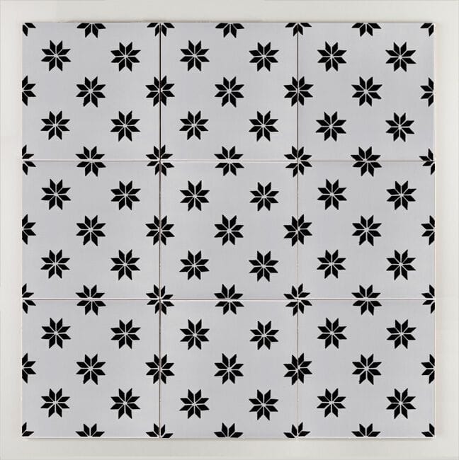 Пол / покрытие ручной работы La Riggiola черный и белый ARCH-00101909 - Вид №1