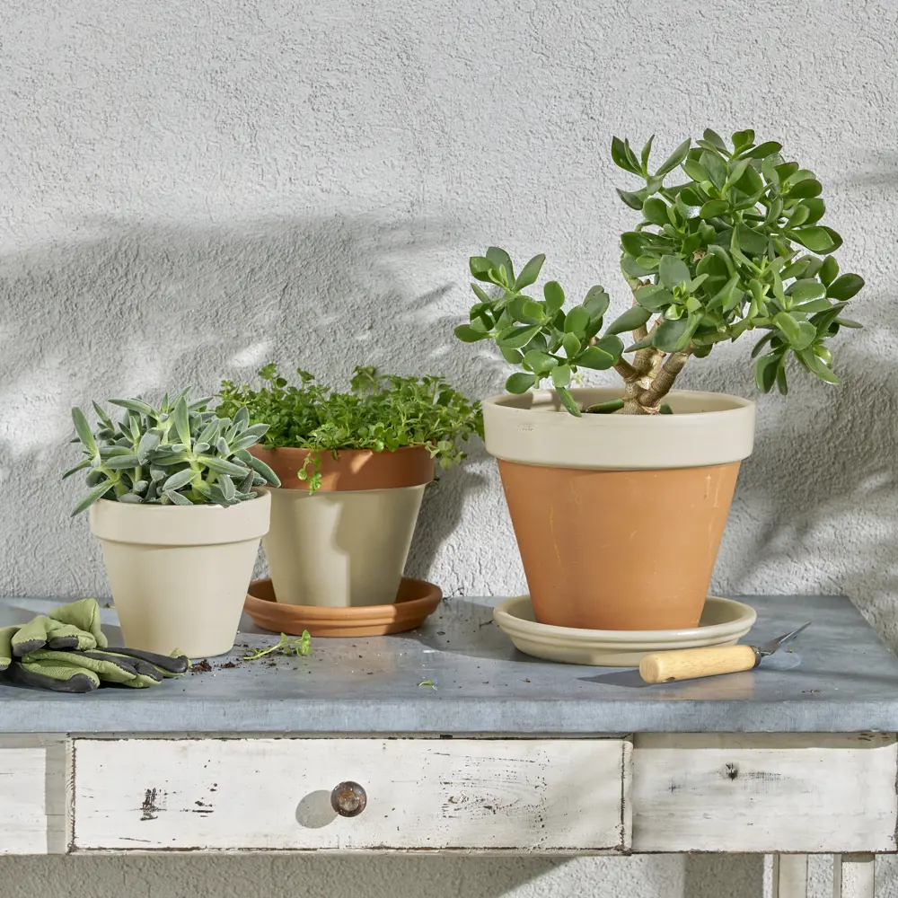 Аэрозольная эмаль Luxens перламутрово-белая для интерьера и экстерьера 83237390 STLM-0039748 - Вид №5