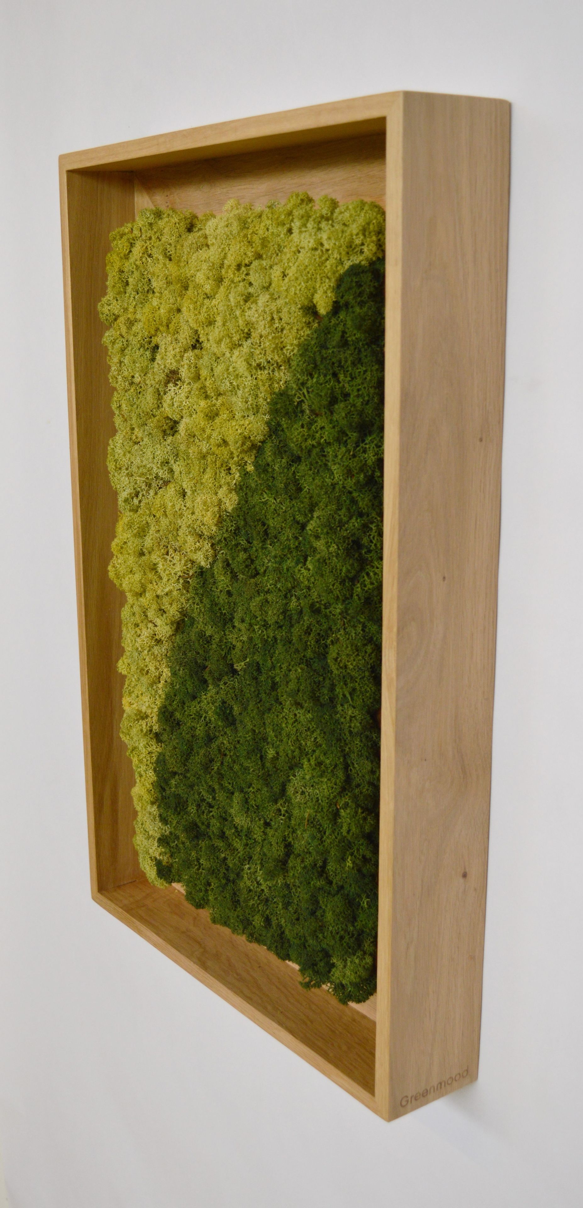 Акустическая панель из мха GREENMOOD FRAMED SYNERGY ARCH-00061647 - Вид №24